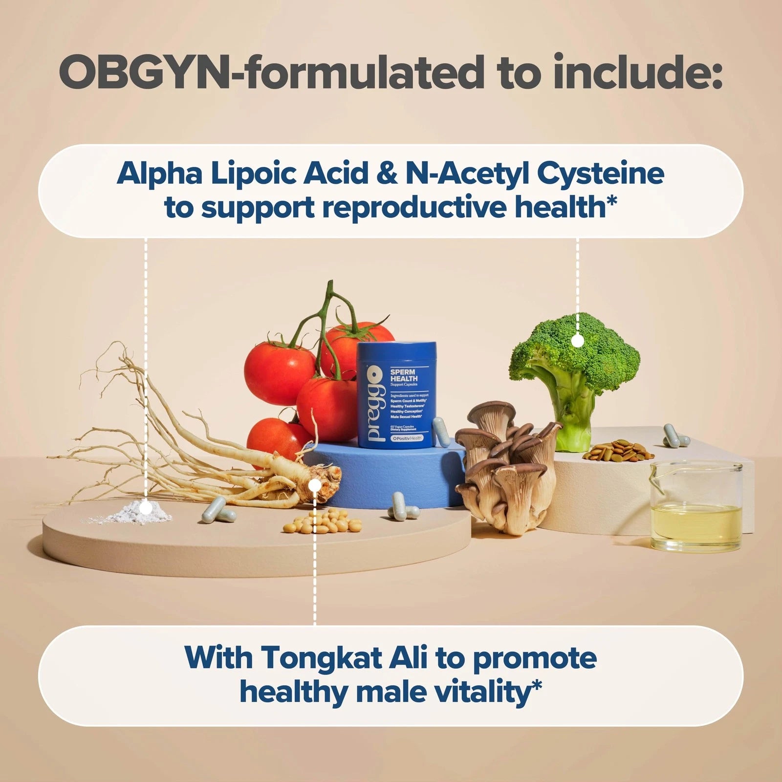 O Positiv Preggo Sperm Health Capsules for Men - OBGYN-Formulated for Improve...